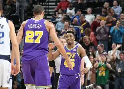 黄蜂恢复正常状态，主场大胜独行侠的简单介绍